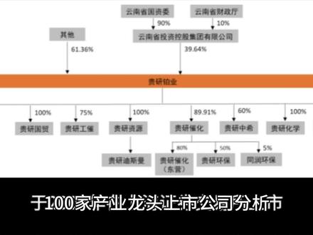 100家产业龙头上市公司分析