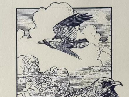 关于乌鸦的手绘画法 #画画