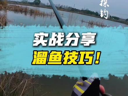 本期实战分享,长杆短线碰大个体时,不带抄网,如何轻松上岸?掌握这三大技巧,看完从此告别跑鱼!远离爆杆~#钓鱼技巧 #溜鱼#传统钓#龙鳞甲#钓鱼人的乐趣只有钓鱼人懂 @鲸栖户外旗舰店 @鹤渔人运动户外旗舰店