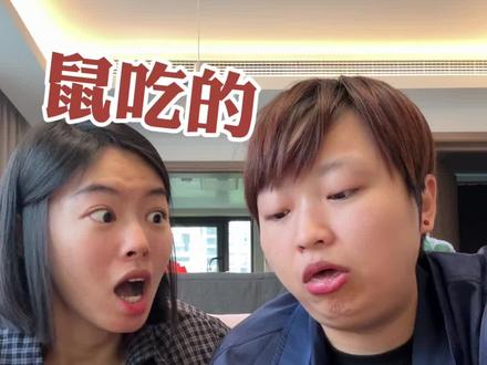 下辈子你想当什么动物?#搞笑 #测评