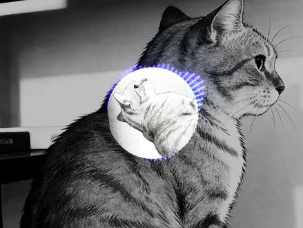 哈基米:😺弱水三千😺 #哈基米 #弱水三千 #鬼畜 #叮咚鸡