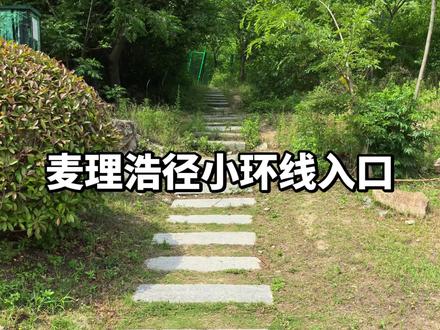 连云港版麦理浩径攻略#连岛 #麦理浩径 #徒步 #登山好去处