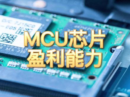 MCU芯片,盈利最强的10家企业#MCU芯片 #盈利能力