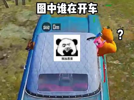 你们的狗开车也左顾右盼吗#和平精英布鲁斯