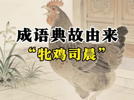 牝鸡司晨,意思是雌鸡像雄鸡般鸣啼。古义
贬喻女性掌权,所谓阴阳倒置,将导致家破国亡。这个成语典故来源于 《尚书·牧誓》,“牝鸡无晨。牝鸡之晨,惟家之索。”
商纣王进攻苏国得到美女“妲己”,妲己看到蚂蚁爬上铜火盆被烫死,就告诉商纣王,纣王命人做两根铜柱,把犯人绑在铜柱上,用火烧热铜柱叫“炮烙”。牧野之战中,周武王姬发灭掉了商朝后感慨地说老母鸡一旦打鸣,家境就要衰落了。
武王用这个比喻,直指纣王晚年荒淫无度的统治。纣王沉迷酒色,宠信妲己,许多重大决策竟不按常理与大臣商议,反而听从妇人之言。在周人乃至更早的社会观念里,这与“母鸡打鸣”一样,被视作颠倒阴阳、违背常理的凶兆,是国家将亡的征兆。
牧野一战,商军倒戈,纣王自焚,商朝灭亡。周武王誓词中的这段话,连同“牝鸡司晨”的比喻,便被史官郑重记录下来。后来,这个成语就用来比喻女性掌权主事,旧时多含贬义,认为这是国家或家庭衰败的祸根。它承载着三千年前那场王朝更迭的历史重量,也深刻反映了古代社会对性别与权力秩序的特定观念。
现代女性不再囿于家庭,她们同男性一样以智慧与坚韧担纲时代重任,在科技、文化、治理各领域卓然而立。这变迁,是才能的解放,是个体的绽放,更是文明向更广阔可能的坚定前行。每一步突破,皆印刻着时代进步的徽章。
#成语典故#芈月传#传统文化