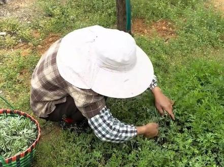 带你们看看,56岁爱干净妈妈一边带娃一边打工的一天到底有多忙#农村生活 #vlog日常 #打扫卫生 #美食