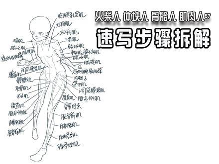 速写5步拆解,告别新手幼稚画。 速写步骤拆解,火柴人,体块人,骨骼人,肌肉人,画稿绘画过程展示。#速写人物#人体画画大挑战#速写步骤#画画过程分享#人体结构练习