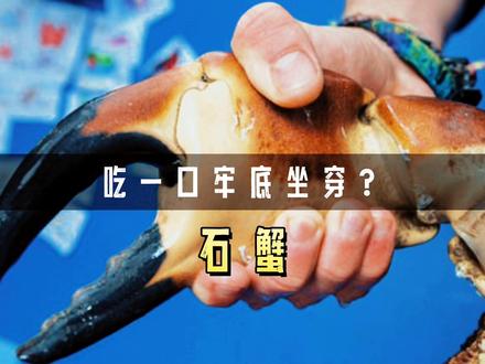 这种螃蟹只敢吃蟹钳,否则将会引来牢狱之灾 #涨见识 #螃蟹 #蟹钳 #冷知识 #科普一下 #涨知识 #奇闻奇事 #奇闻异事 #吃海鲜 #知识创作人