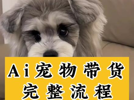 Ai宠物带货完整流程#带货 #Ai #宠物 #Ai工具 #狗窝