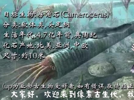 【像素古生代】03.房角石——古老的旧日支配者 #房角石 #软体动物 #奥陶纪 #古生物 #我的世界 #minecraft #像素古生代