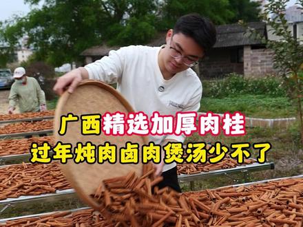 过年卤肉腥味重膻味去不掉还油腻吃不下的,放一点广西肉桂就能解决了!#香料 #调味料 #肉桂 #八桂香料之都