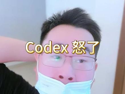 codex怒了啊