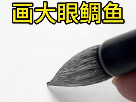 画大眼鲷 我画这个大眼鲷鱼是先从眼睛开始,眼睛是大圈儿套小圈儿,一圈儿又一圈儿,眼珠子要用浓墨来画,眼周围的组织结构用淡墨一笔一笔积墨出来层次会更丰富,额头嘴巴墨色不需要太浓,每一笔墨都要画在结构上,正所谓笔墨服务于型就是这个道理,利用生宣纸发墨的特性,自然留出结构线,鱼头画完一笔把鱼背画出来,剩余的墨皴擦鱼身肌理,再一笔画出鱼肚子,跳刀法画鱼鳞,鱼鳞画的不需要太具体,然后画腹鳍背鳍臀鳍尾鳍,侧锋以浓破淡画鱼身花纹,用浓墨勾鱼鳍鳍骨,然后点鱼鳍斑纹,墨色不能对比太强烈,最后加上对面一个腹鳍。再次声明我不是阎鹤祥,只是声音有点儿像#画画 #国画 #水墨画 #传统文化 #艺术 @阎鹤祥