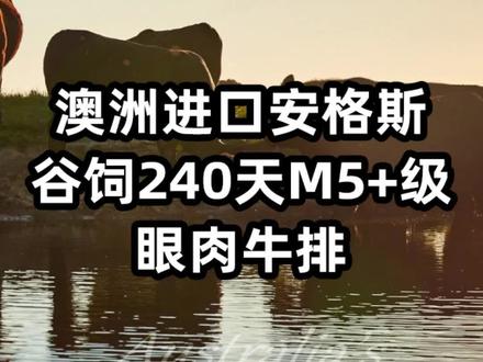 澳洲进口安格斯谷饲240天M5➕眼肉牛排
