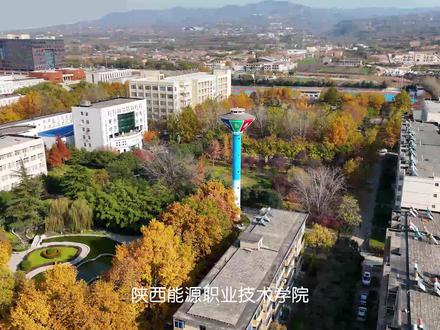 #废话文学 废话,主打的就是一个强调。#废话文学天花板 #招生宣传哪家强