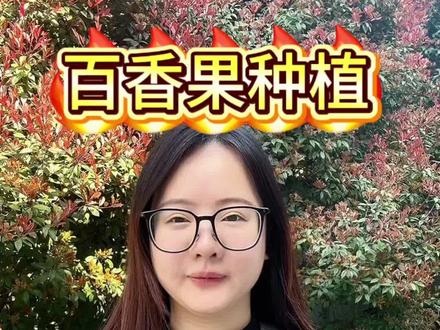 百香果树开花少,只开花不结果,教你一个方法搞定#百香果种植#百香果苗 #百香果 #百香果种植技术 #三农种植