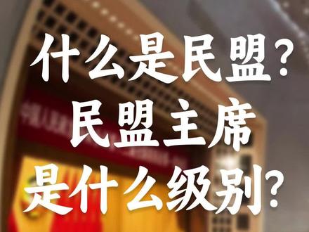 什么是民盟?民盟主席是什么级别?