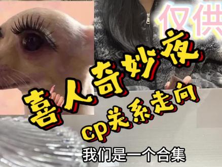 cp关系走向大合集!!#喜人奇妙夜 #摇贡青年 #小力士 #小放光明 #cp