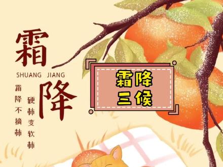 霜降节气到了,霜降三候是哪三候?你知道吗?#慕晴分享 #霜降 #24节气 #霜降三候 #智慧父母