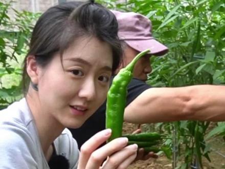 #韩国 农民生活,当农民是我的梦想