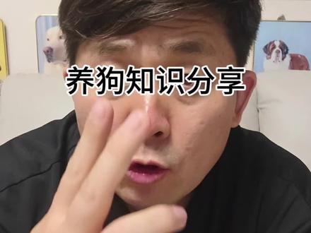 养狗知识分享#宠物知识科学养宠