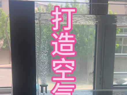 感觉说的有点啰嗦#养鱼日记 氧气泵辅助硝化细菌,提升效率