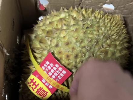 在与辉同行买的榴莲等了一周多怎么会是这样的结果,这让一个大馋丫头狠狠的伤心了😭#榴莲 #榴莲开箱视频 #与辉同行