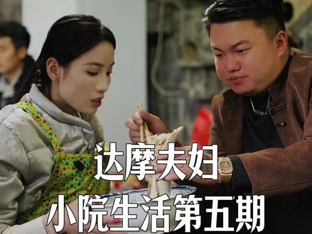 小院生活第五期@达摩来了 #小院生活