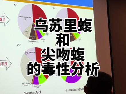 白眉蝮和五步蛇的毒性分析,谁的毒性强?#白眉蝮 #五步蛇 #尖吻蝮