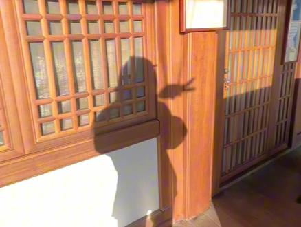 从前有座山,山里有座庙,庙里有个老和尚在给小和尚讲故事…… #一路南下一路暑假 #金喂天海 #天台山 #斋饭 #桃黑黑