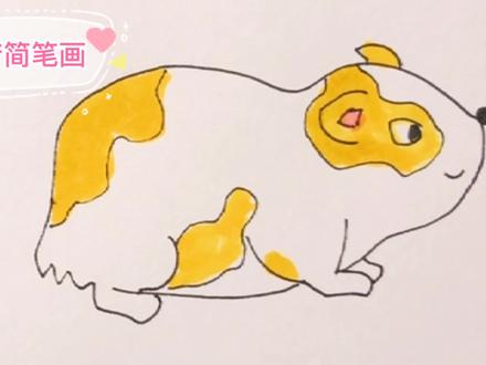 儿童益智简笔画启蒙,可爱的小豚鼠