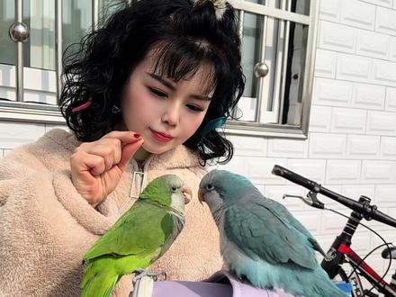 妞妞蓝宝下乡来了#和尚鹦鹉说话 #鹦鹉回家过年