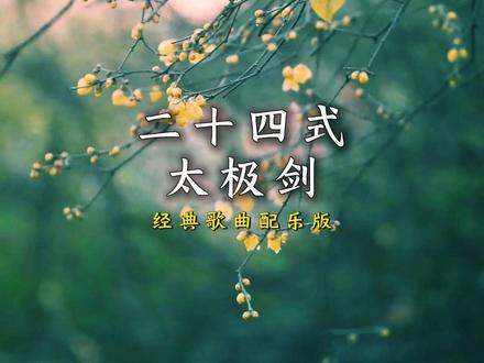 太极养生音乐优选《二十四式太极剑》经典歌曲配乐版一人一歌一拳 #太极养生音乐优选 #《二十四式太极剑》经典歌曲配乐版 #大道至简山人 #治愈系风景