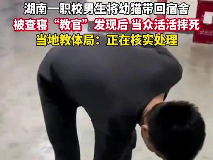 湖南一职校男生将幼猫带回宿舍,疑似教官男子查寝时,将幼猫当众摔死,当地回应!#湖南#职校#动物#虐杀#回应