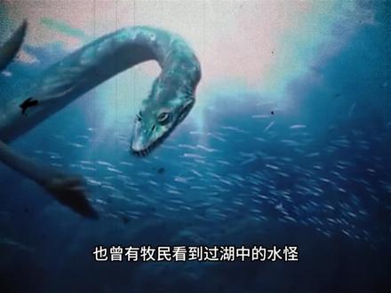 你听说过青海湖水怪的故事吗,我国一片海域28年间出现了三次巨型生物,是巨型鱼类还是其他神秘生物?#水怪 #奇闻异事 #青海湖