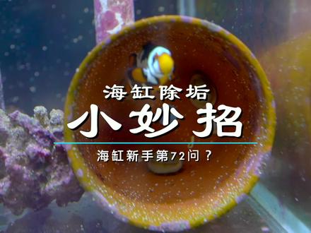 海缸除垢小妙招 贼好用 你用过吗 #海缸 #养鱼日记 #小丑鱼 #涨知识 #水族 @DOU+小助手