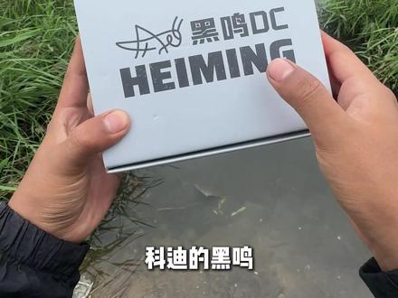 国产终于有商家出DC雷强轮了,科的黑鸣DC雷强水滴轮#雷强打黑 #科的黑鸣 #雷强打黑 #雷强轮推荐