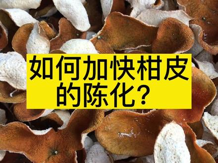 如何加快新会柑皮的陈化?#新会陈皮 #陈皮 #柑皮