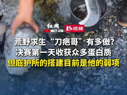 11月24日 湖南张家界荒野求生“刀疤哥”有多傲?决赛第一天收获众多蛋白质,但庇护所的搭建目前是他的弱项。#决战张家界七星山荒野求生