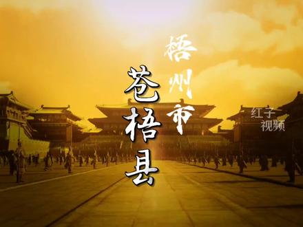 广西这个拥有二千多年历史的县,如今却是广西最年轻的县城,你知道在哪里吗?苍梧县!#地理知识 #历史故事 #历史冷知识 #历史知多少 #发展 #历史vlog