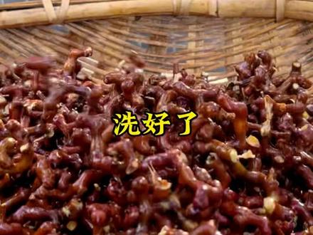 又到吃拐枣的季节,农村到处都是拐枣树,我摘一蓝回去泡一坛拐枣酒#抖音乡村生活家 #新农人计划2022 #农村美食 #拐枣泡酒