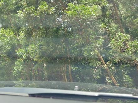 路虎的实力真的恐怖,开坑里了,底盘被担住之后激活拓展模式,最后成功脱困!#路虎 #路虎发现4 #越野