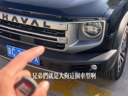大狗锁车一键升窗功能是不是很方便