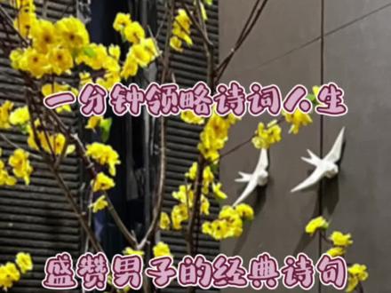如何优雅地赞美男人“好帅”、“有风度”、“有才气”,学会七句经典诗句,让你轻松拿捏。#情感 #感悟人生 #知识分享 #传统文化 #高情商
