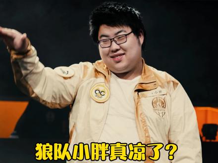 狼队小胖真凉了?哽咽:一周只训练3小时,回不去赛场了#狼队#小胖#一周只训练3小时