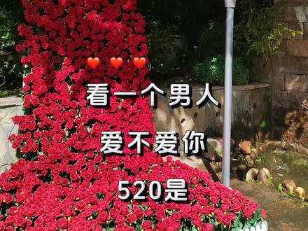 明天就是520了,一个人爱你到什么程度,520是最好的考验,虚伪的人靠嘴,真诚的人靠行动,记住礼物和爱都不要伸手去要,伸手要的那叫施舍,主动给的才是偏爱,爱和敷衍是两码事,仪式感和金钱没有关系,爱你的人生怕给你的不够,不爱你的人,总怕你要的太多#情感共鸣