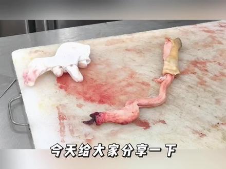 揭秘,羊鞭的处理过程!#新鲜食材