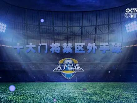 隐秘的“手”:十大门将禁区外手球
