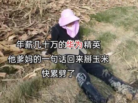 小时候也没觉的那么累人😂,双节的假期,就这么愉快的过了#国庆节 #掰玉米