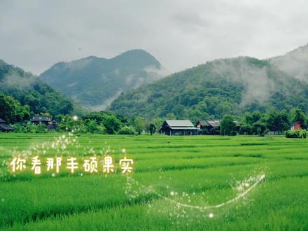 #治愈 #童声 忙碌的一天,听到这首歌仿佛来到了一片广阔的大河..
